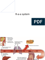 R-a-a system