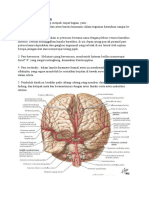 Arteri Karotis Interna dan Kelainannya