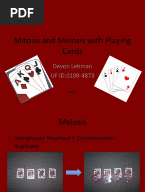 Playing Cards Part 2