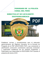 directiva N° 01-2018 escpogra.pdf