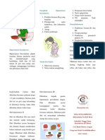 Leaflet Hiperemesis Gravidarum