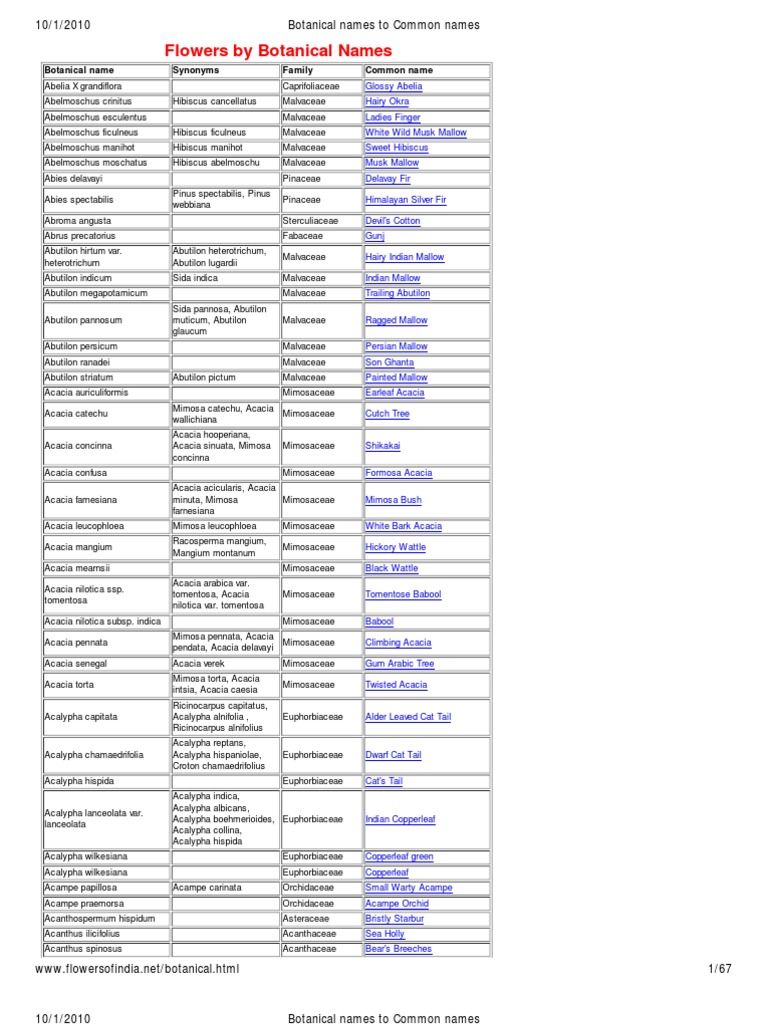 Botanical Names and Common Names of Flowers | PDF