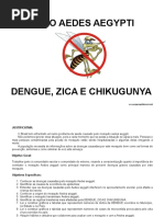 PROJETO AEDES AEGYPTI.doc