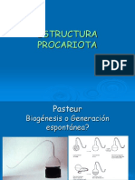 1 - Estructura Procariota