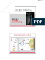 DNA-RNA-protein Analyze Part 1,2 2016