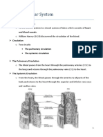  Cardiovascular System Docx