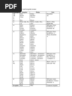 Example of Regular and Irregular Noun