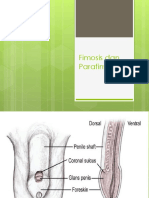 Phimosis Dan Paraphimosis