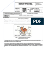 Informe Corregido Imagenes - Especiales