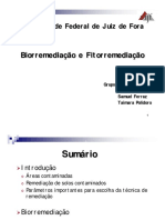 Seminario Biorremediação Fitorremediação