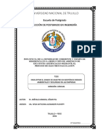 TESIS MAESTRIA CESAR POL AREVALO ARANDA.pdf