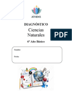 Ciencias Naturales 6to Diagnostico