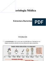 Micro Bucal