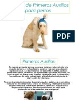 Manual Primeros Auxilios Canino PERROS K9 PDF