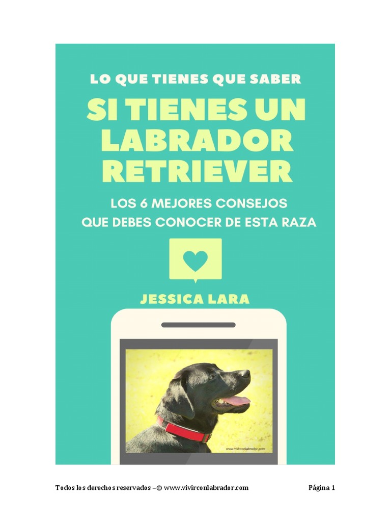 Ebook PDF Lo Que Tienes Que Saber Del Labrador Retriever | PDF ...
