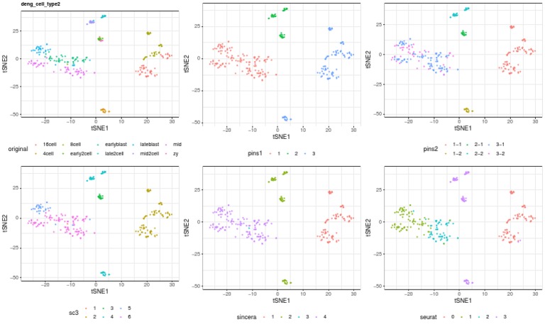 t-SNE Analysis of Cell Types | PDF
