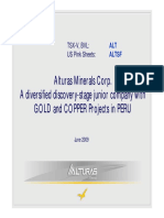 Altura Minerals.pdf