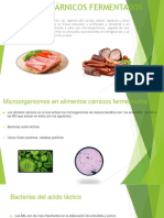 Productos Cárnicos Fermentados