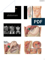 Abdomen Anatomia Radiologica