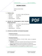 Informe Tecnico - Bienes Ficalizadosmunicipalidad Distrital Santa Rosa