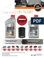 Cambio de Aceite PDF