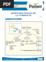 Psicología PAMER ORGANIZADORES