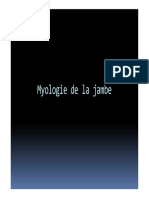 012 - Myologie de La Jambe