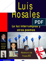 La Luz Interrumpida y Otros Poemas, Por Luis Rosales, España