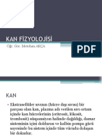 VI. Kan Fizyolojisi - Kopya