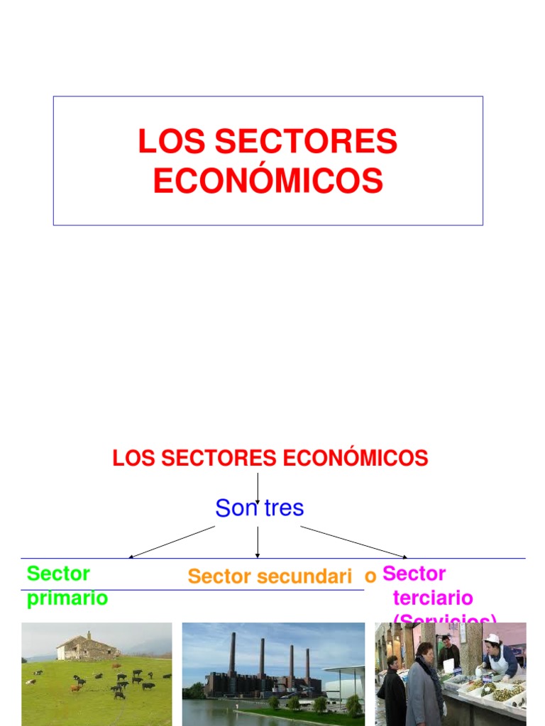 Sectores Economicos | PDF | Sector terciario de la economía | Agricultura