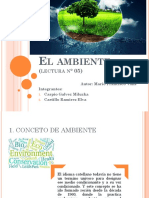 El Ambiente