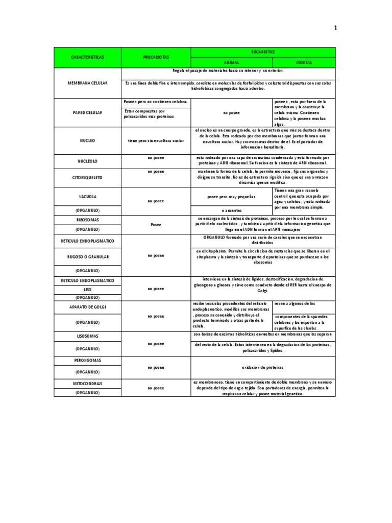 Comparativa de Células Procariotas y Eucariotas | PDF | Citoplasma ...