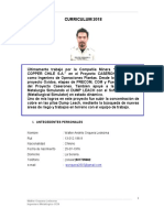 CV - Walter Orquera - Agosto - Pms - 2018