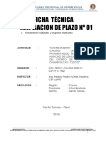 01.-Texto Ampliacion de Plazo 1