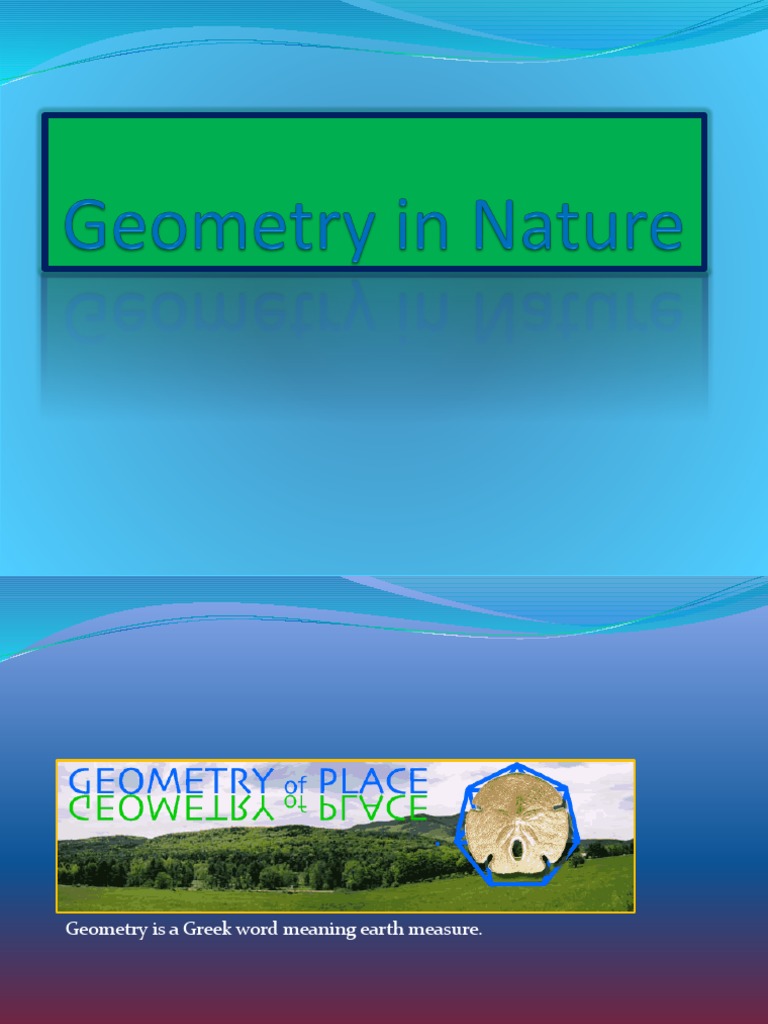 What Are Some Examples Of Geometry In The Environment? | PFEH