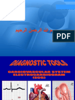 Ecg (Diagnostic Tools)