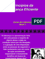 Princípios da Liderança Eficiente