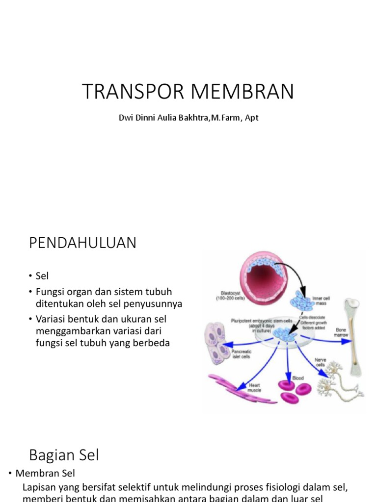 2.transpor Membran | PDF