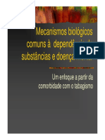 PPT Sobre sistema de recompensa.pdf