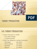 Turkey Production Pres