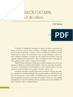 A Construcao Real Como Papel Cultura - Seixas - 2002