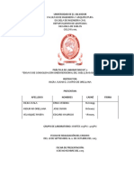 AvanceMEMORIA de CÁLCULO Consolidacion