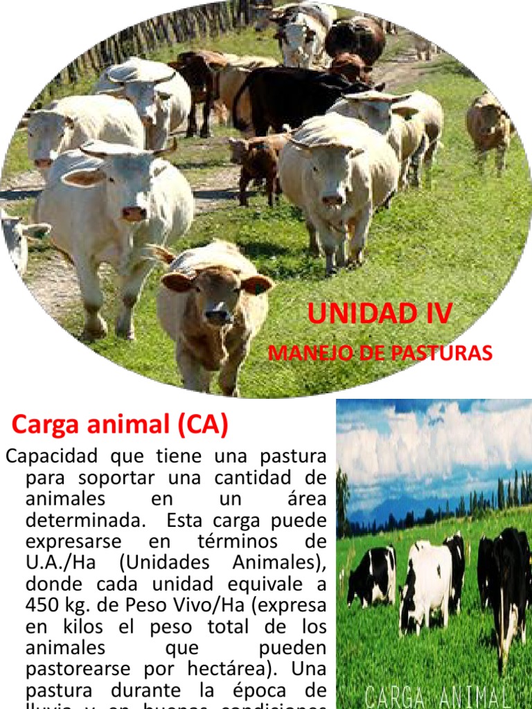 Unidad IV Pyf | PDF | Suelo | Agricultura