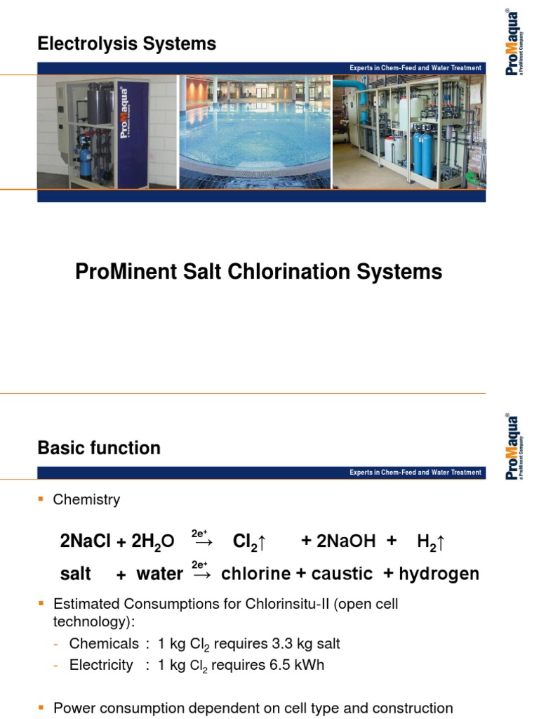 Prominent Salt Chlorination System PDF Sodium Chloride Chlorine