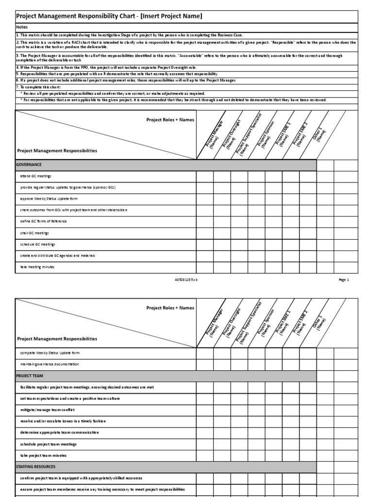 9628 Itspm-Racitemplate | PDF | Project Management | Business