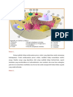 Materi Fisio Sel