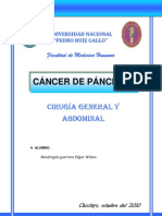 Cancer de Pancreas