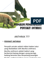 Pencegahan Anthrax