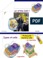 Organelles Part 1-Making Proteins