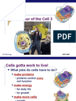 Organelles Part 3 - Cellular Motion